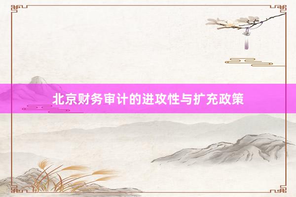 北京财务审计的进攻性与扩充政策
