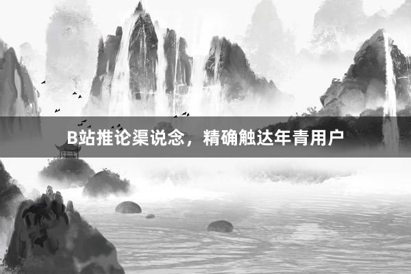 B站推论渠说念，精确触达年青用户