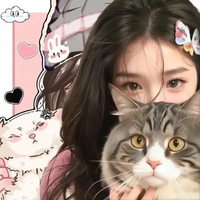 信长的忍者：姊川·石山篇